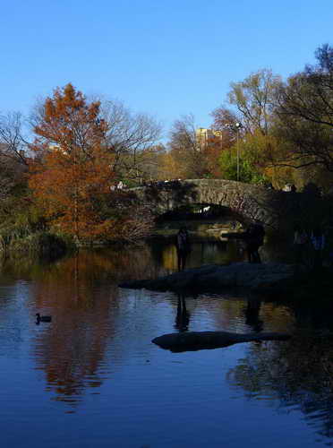 NYC_2012-11-22 13-16-00_P1070514